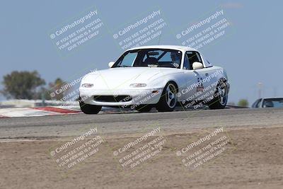 media/Oct-04-2025-OnGrid (Sat) [[44bd565ffa]]/Purple Group/Grapevine/